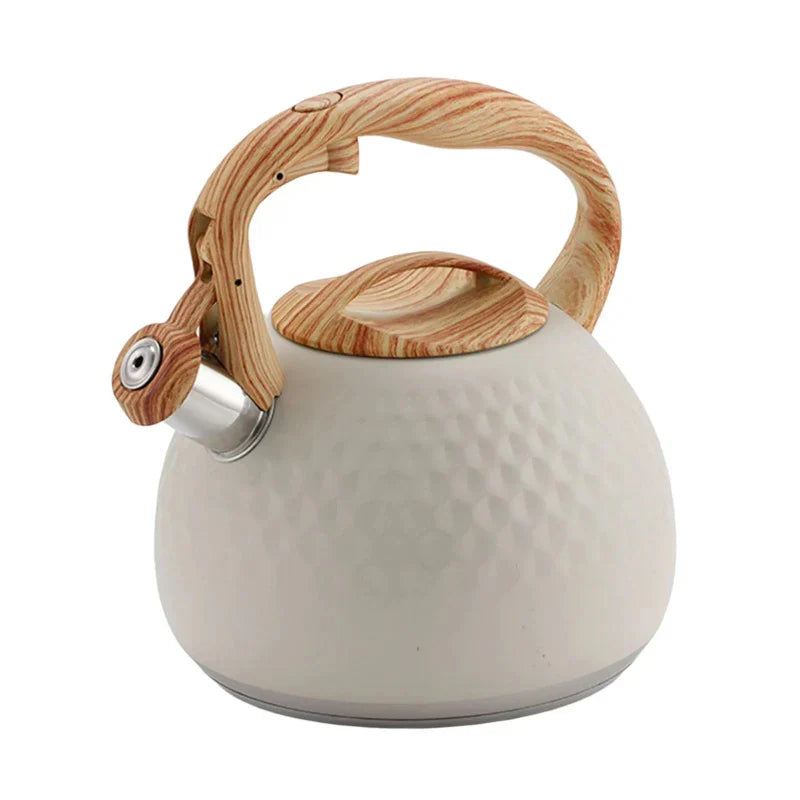 Stainless Steel Whistling Kettle With Cool Grip
