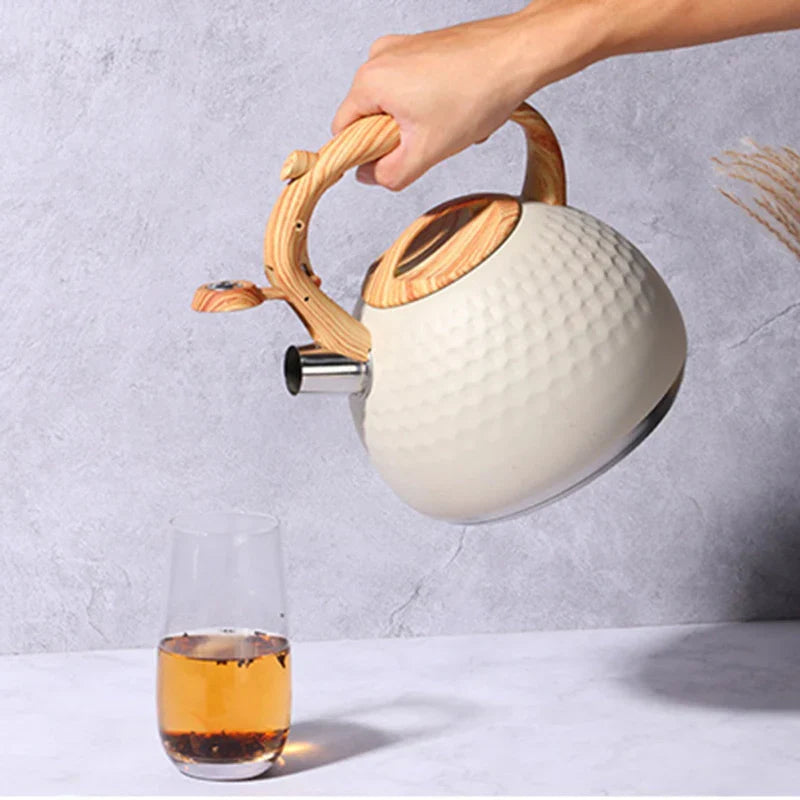 Stainless Steel Whistling Kettle With Cool Grip