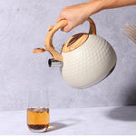 Stainless Steel Whistling Kettle With Cool Grip